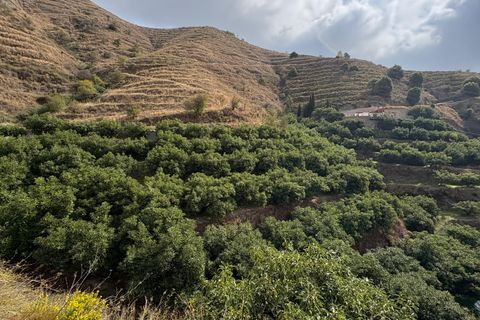 Landejendom i Almunecar, Granada, Almunecar - € 275.000 | Ref: W2999KA - foto 28